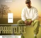 Iphakadelihle - Gede Indaba Yomjolo (feat. Shenge Wasehlalankosi)