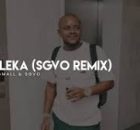 Kabza De Small - Lawuleka(SGVO Dub)