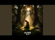MDS SA - Kuwe