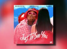 Malome Vector - Just To See You (feat. Lizwi Wokuqala & Sannere)