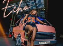 Mandisa Mamba – Echo