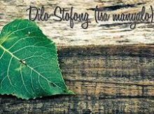 Maredi – Dilo Stofong (tša manyalo)