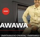Mawawa - Ngikhetha Yena (feat. Mfundo Mthiyane & Shenge Wasehlalankosi)