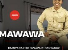 Mawawa - Ngikhetha Yena (feat. Mfundo Mthiyane & Shenge Wasehlalankosi)