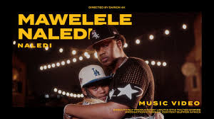 Mawelele ft Naledi - Buye Khaya