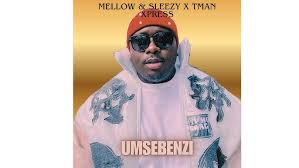 Mellow & Sleazy, Tman Xpress – Umsebenzi