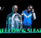 Mellow and Sleazy x Tmanxpress & LastbornDiroba - thumela