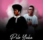 Milo Deep – Pelo Yaka (Remake) ft. Shandesh