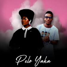 Milo Deep – Pelo Yaka (Remake) ft. Shandesh