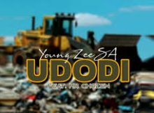 Mr Chozen, Young Zee SA - Udodi