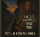 Mzansi Soulful Ones – Give Me Another Chance