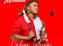 Mzukulu New Album 2025 - Ng'funa Mzukulu – Firefighter Ft. Shisamabhodwe