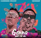 NeoDeep & Harrison Crump – Gonna Wait for You