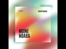 Ngine Ndaba - (Gqom Remake) Bootleg