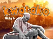 Nicky B - Kwatako