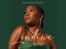 Nontokozo Mkhize - Ekhaya (feat. Shwi Mantombazane)