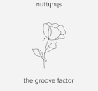 Nutty Nys – The Groove Factor