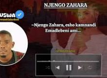 Nyuswa Ft Shenge - Njengo Zahara