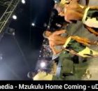 Nziphazi - UMNTUYENZIWA PROMO 2025 HHOHHAAYIBADLE