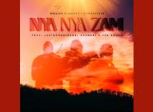 Phemelo Given Sefanyetso - Nya Nya Zam