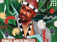 Ringo Madlingozi – UFIKILE EKUSENI (Song)