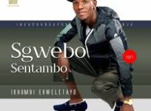 Sgwebo Sentambo - Yini Eniyibanga noZuma