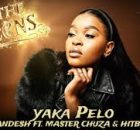 Shandesh, Hitboss SA & Master Chuza – Yaka Pelo