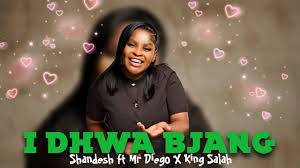 Shandesh - O Dhwa Bjang ft Mr Diego x King Salah