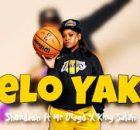 Shandesh - Pelo Yaka ft. Mr Diego x King Salah