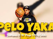 Shandesh - Pelo Yaka ft. Mr Diego x King Salah