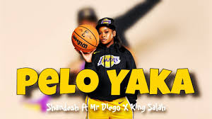 Shandesh - Pelo Yaka ft. Mr Diego x King Salah