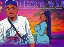 Shebeshxt Feat Nkosazana Daughter ,Paige And Makhadzi - Thata Wena