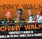 Shebeshxt – Johnny Walker Feat. Naqua SA, Shandesh