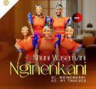 Shuni waseMzini – Nginenkani Ep