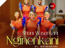 Shuni waseMzini – Nginenkani Ep