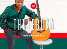 Sicela Ipharishi - Umculo weMaskandi Othokozisayo