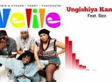 Skhiye Sothando - Usengishiya Kanje (feat. Shenge Wasehlalankosi)