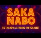 Strobho De Vocalist and Tis Thando VIBEN BULL - Saka Nabo