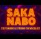 Strobho De Vocalist and Tis Thando VIBEN BULL - Saka Nabo