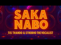 Strobho De Vocalist and Tis Thando VIBEN BULL - Saka Nabo