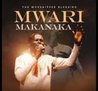 The Worshipper Blessing - Mwari Makanaka