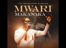 The Worshipper Blessing - Mwari Makanaka