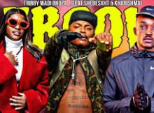 Tribby Wadi Bhoza_(Feat Shebeshxt X Kharishma & Naqua) - LEBCOW