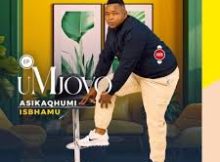 UMJOVO – UMJOLO ft. Sne Ntuli & Bavikele