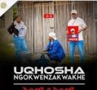 UQhosha ngokwenzakwakhe – Fusegi ft. Bahubhe & Luve Dubazane