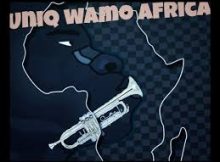 Uniq Wamo Afrika - Find you .(vocal Mix)