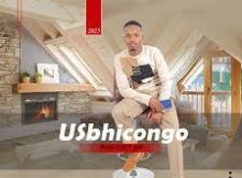 Usbhicongo - Ama can't get (feat. UZondi)