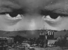 Vigro Deep - Izinja Zam (Visualizer) ft. Lady Du