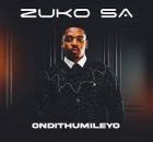 Zuko SA - Yintoni Na