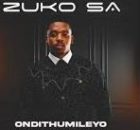Zuko SA – ONDITHUMILEYO ALBUM